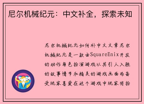尼尔机械纪元：中文补全，探索未知